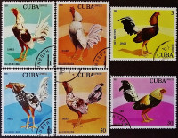 Набор почтовых марок (6 шт.). "Бойцовые петухи". 1981 год, Куба.