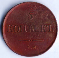 Монета 5 копеек. 1831(ЕМ-ФХ) год, Российская империя.