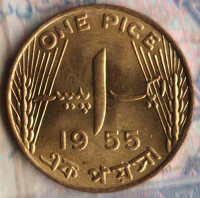 Монета 1 пайс. 1955 год, Пакистан.