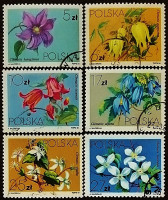Набор почтовых марок (6 шт.). "Цветы". 1984 год, Польша.