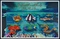 Блок марок (6 шт.). "Рыбы и коралловые рифы Красного моря (II)". 2000 год, Эритрея. Блок марок (6 шт.). "Рыбы и коралловые рифы Красного моря (II)". 2000 год, Эритрея.
