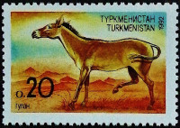 Марка почтовая. "Азиатский дикий осел". 1992 год, Туркменистан. Марка почтовая. "Азиатский дикий осел". 1992 год, Туркменистан.