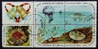 Сцепка почтовых марок (5 шт.). "Рождество 1964: Морские обитатели (II)". 1964 год, Куба. Сцепка почтовых марок (5 шт.). "Рождество 1964: Морские обитатели (II)". 1964 год, Куба.