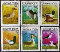 Набор почтовых марок (6 шт.). "Птицы". 1980 год, Венгрия. Набор почтовых марок (6 шт.). "Птицы". 1980 год, Венгрия.