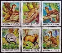 Набор почтовых марок (6 шт.). "Дикие животные". 1979 год, Венгрия. Набор почтовых марок (6 шт.). "Дикие животные". 1979 год, Венгрия.